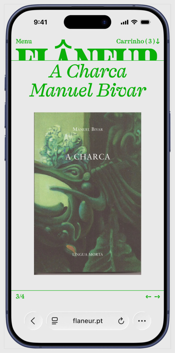 Home page on Flâneur