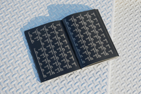 Spread from Looking In